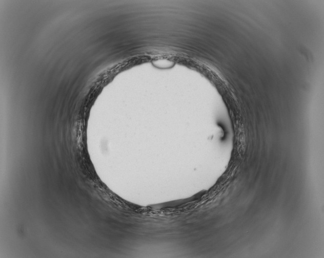 X0000112431016200909251532