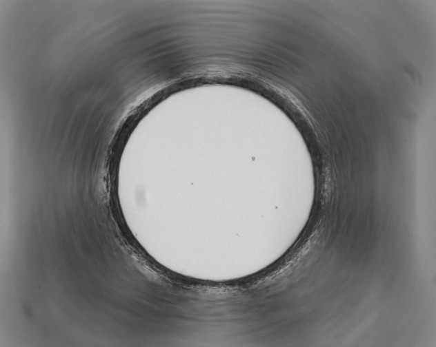 X0000112431018200909251532