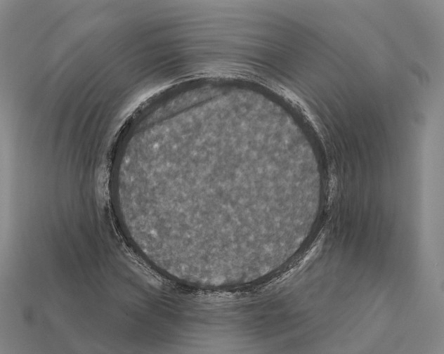 X0000112431019200909251532
