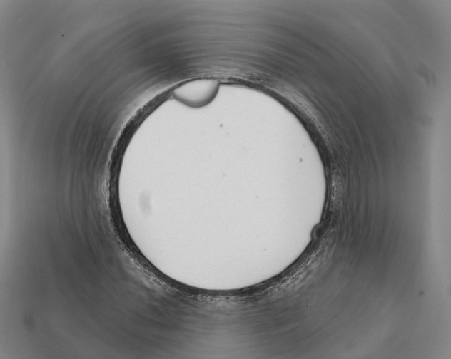 X0000112431020200909251532