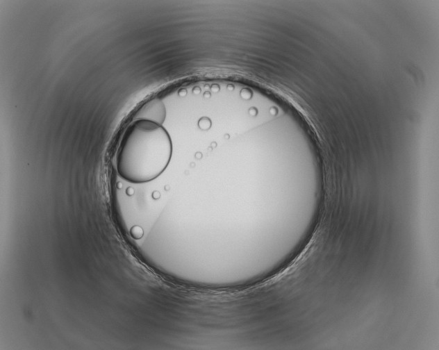 X0000112431022200909251532