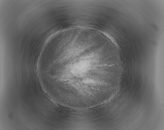 X0000112431023200909251532
