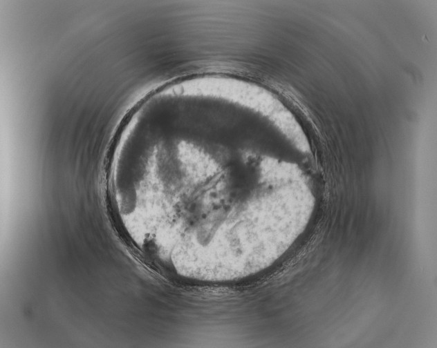 X0000112431024200909251532