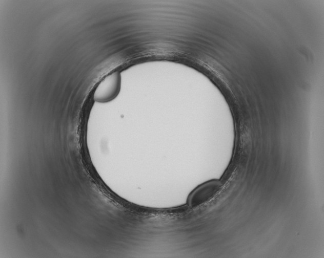 X0000112431026200909251532
