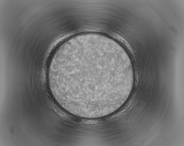 X0000112431027200909251532