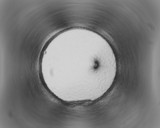 X0000112431028200909251532