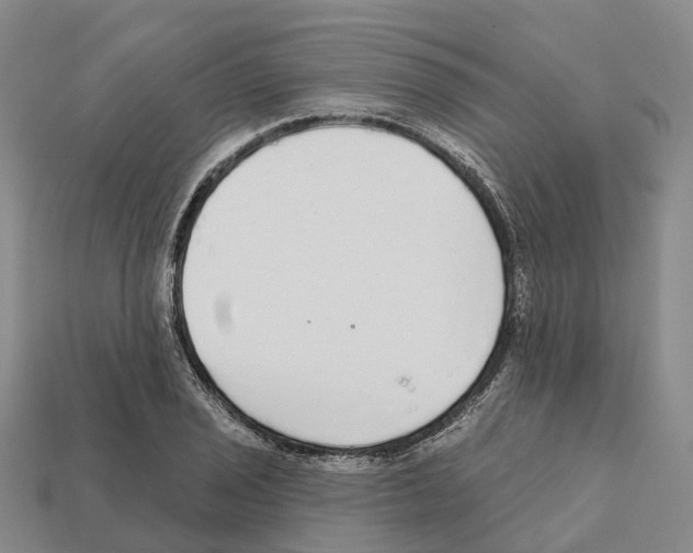 X0000112431029200909251532