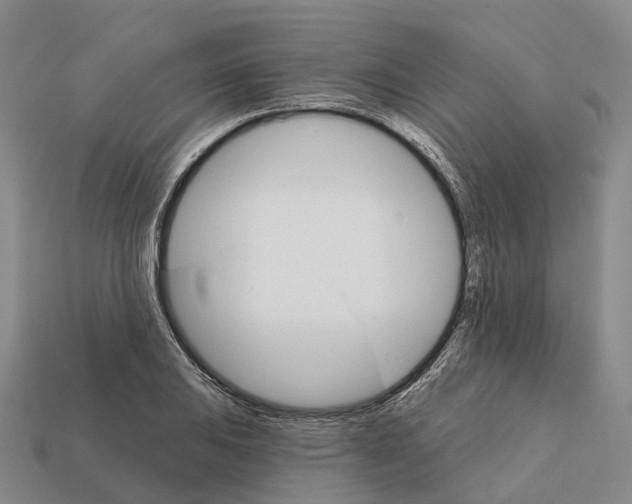 X0000112431031200909251532