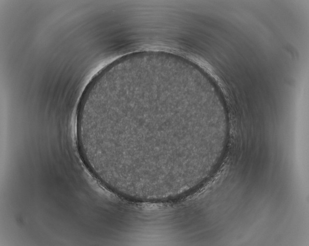X0000112431032200909251532