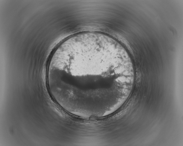 X0000112431035200909251532
