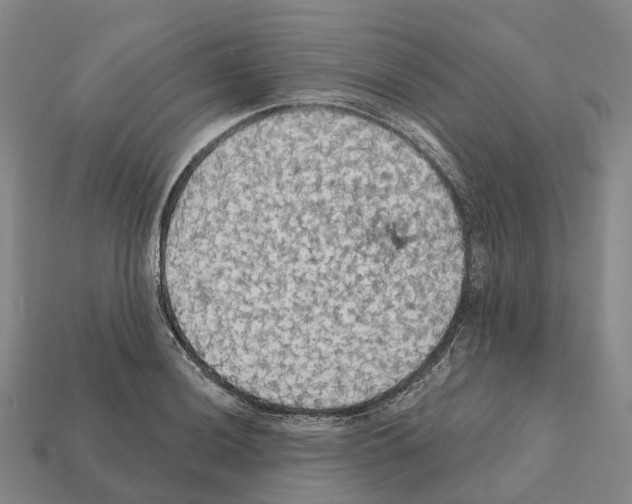 X0000112431036200909251532