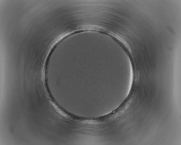 X0000112431037200909251532