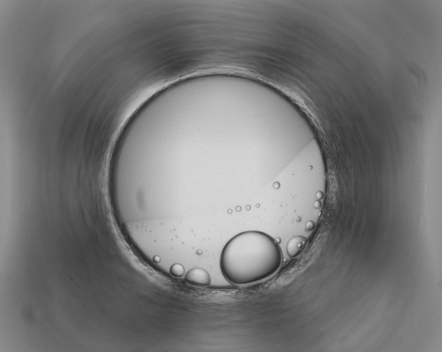 X0000112431038200909251532