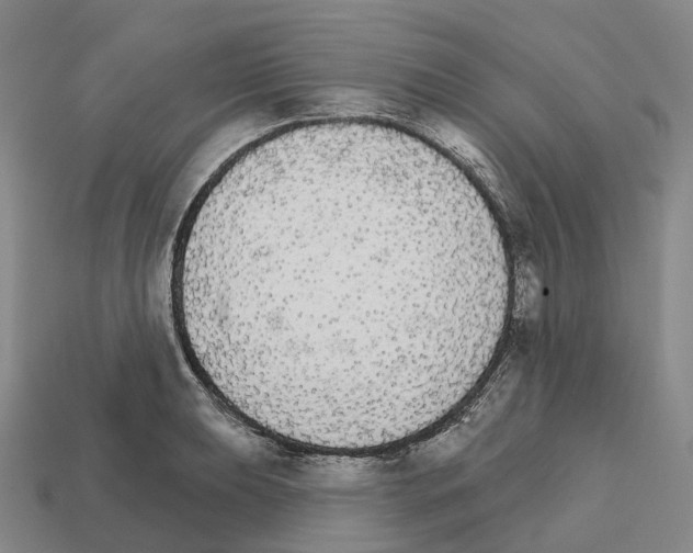 X0000112431039200909251532