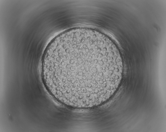 X0000112431040200909251532