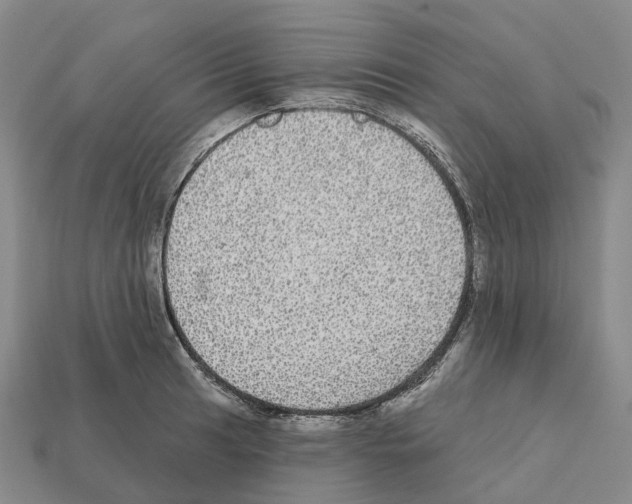 X0000112431041200909251532