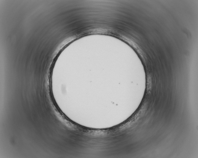 X0000112431042200909251532