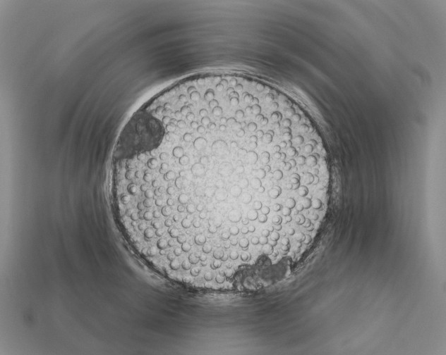 X0000112431044200909251532