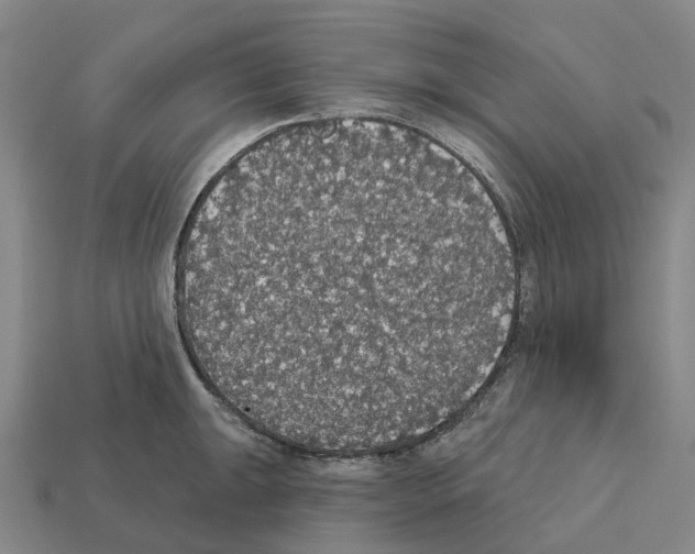 X0000112431047200909251532