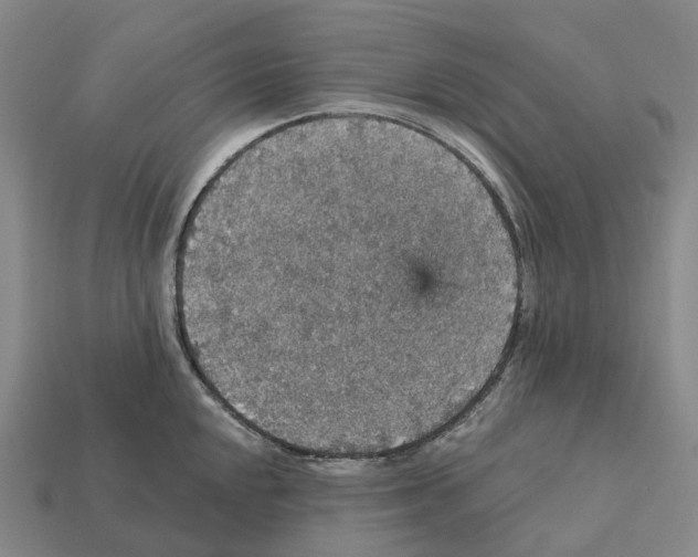 X0000112431048200909251532