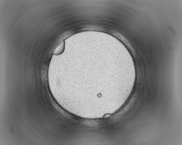 X0000112431049200909251532