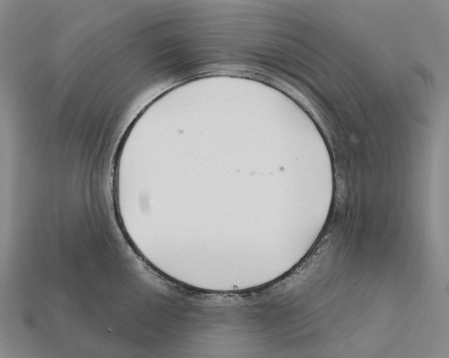 X0000112431050200909251532