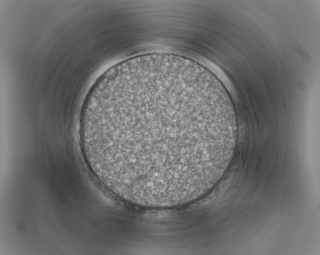 X0000112431051200909251532