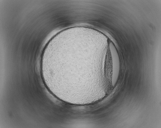 X0000112431054200909251532