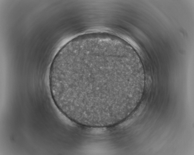X0000112431055200909251532