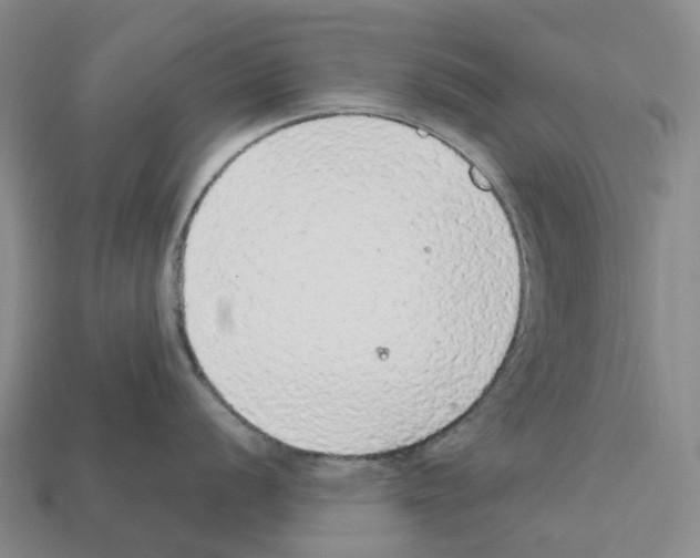 X0000112431056200909251532