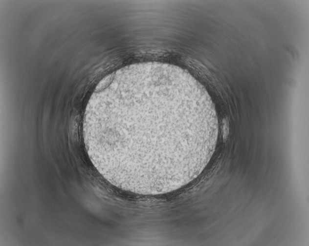 X0000112431059200909251532