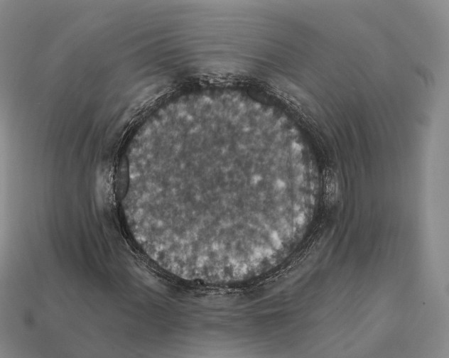X0000112431060200909251532