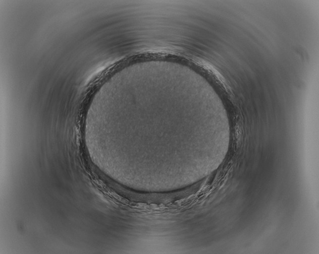X0000112431064200909251532