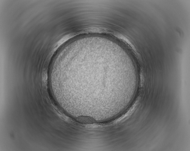X0000112431065200909251532