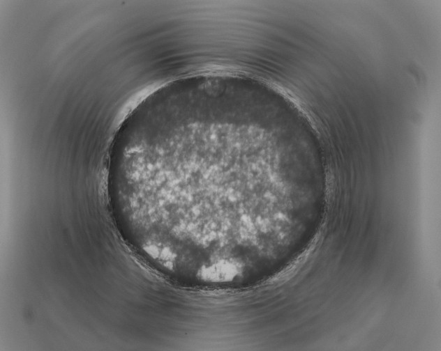 X0000112431066200909251532