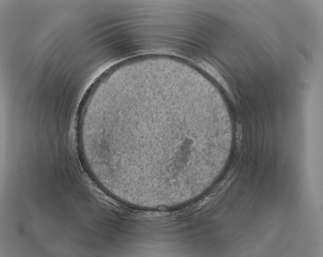 X0000112431068200909251532