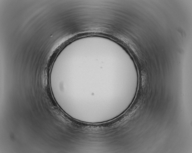 X0000112431069200909251532