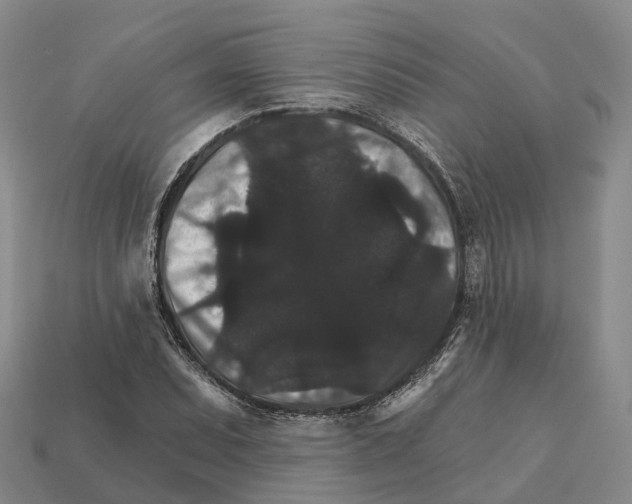 X0000112431071200909251532