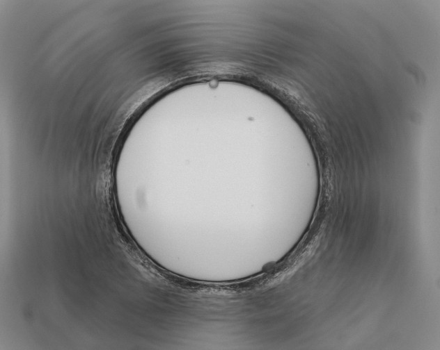 X0000112431073200909251532