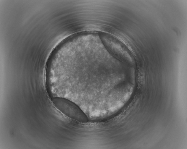 X0000112431076200909251532