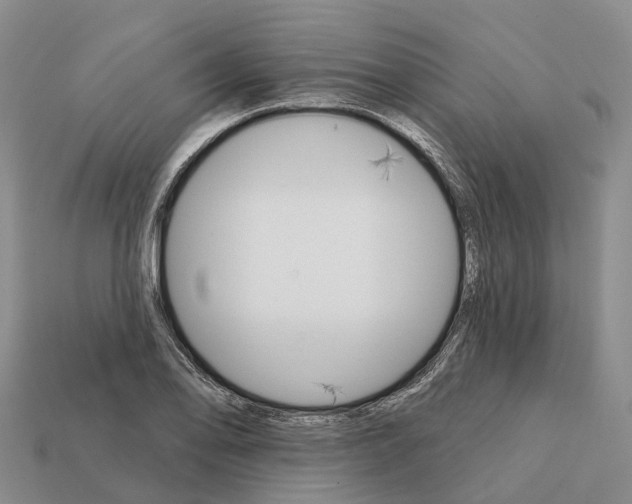 X0000112431078200909251532