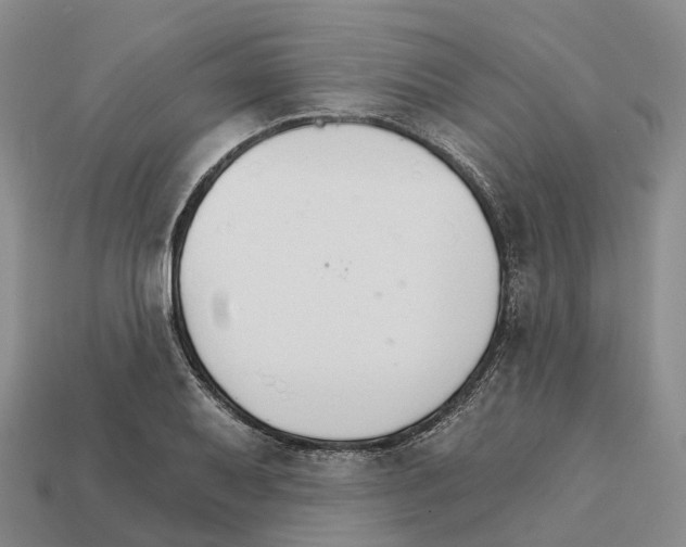 X0000112431079200909251531