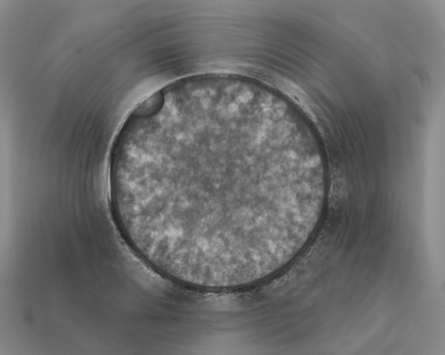 X0000112431080200909251531