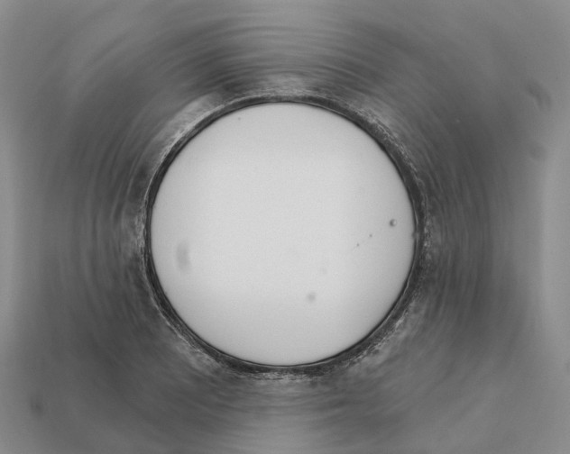 X0000112431081200909251531