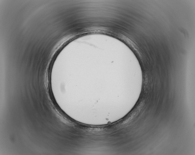 X0000112431082200909251531
