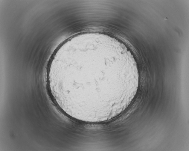 X0000112431083200909251531