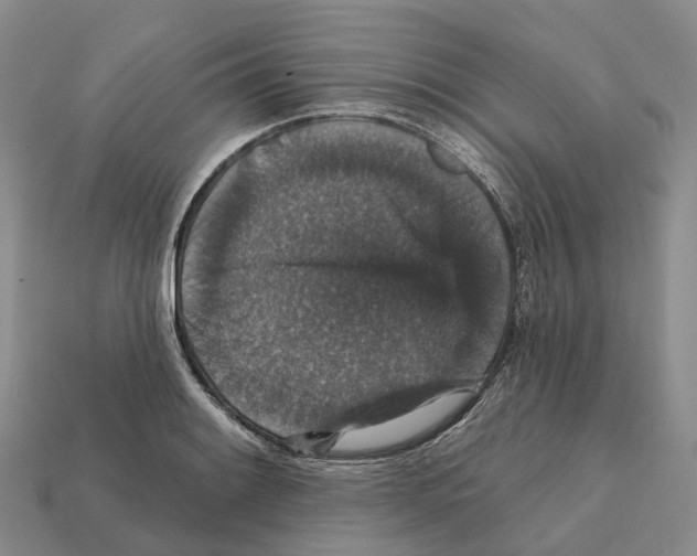 X0000112431084200909251531
