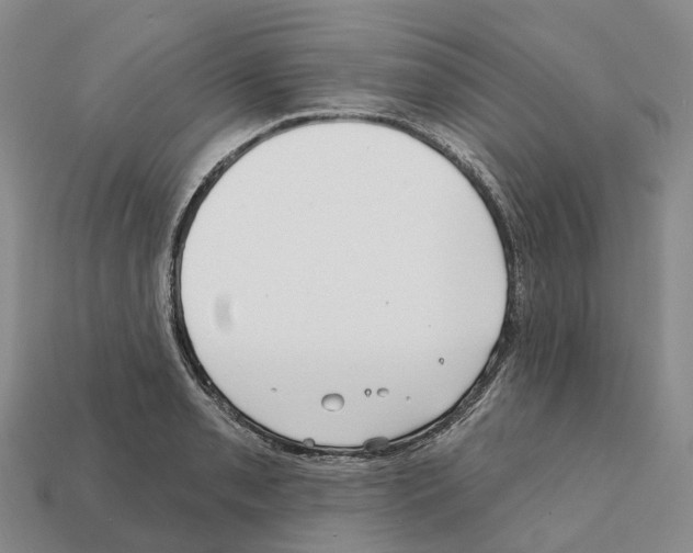 X0000112431085200909251531