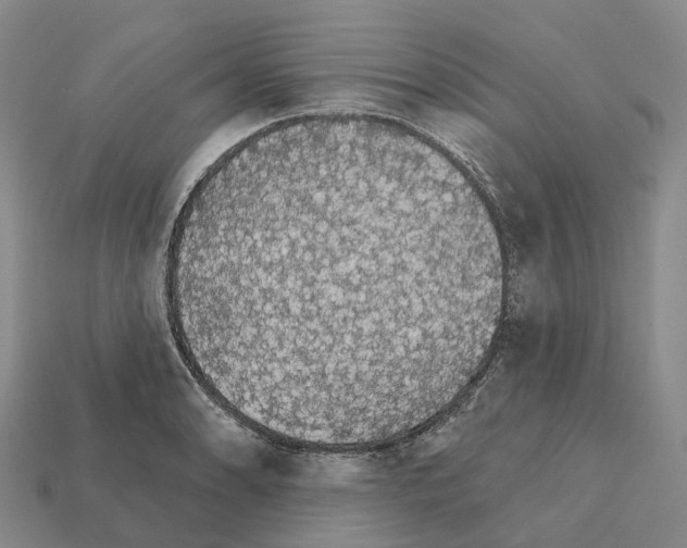 X0000112431086200909251531