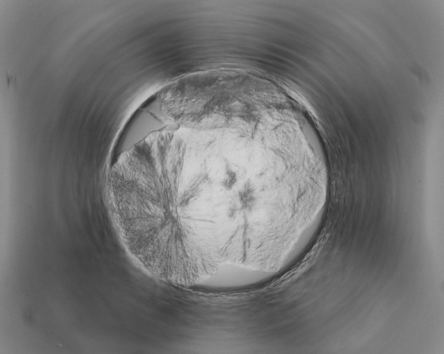 X0000112431087200909251531